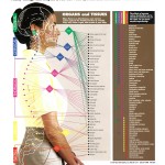 subluxation chart