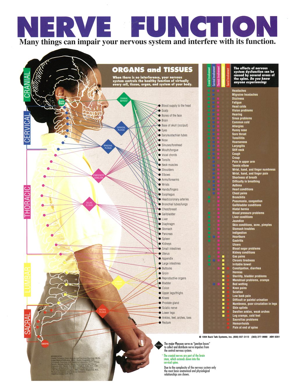 Nerve Chart Chiropractic Nerve Chart Symptoms Of Subluxation Nerves Sexiz Pix